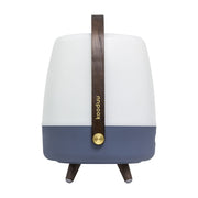 Lite-up Play: Bluetooth speaker lamp with JBL sound, cozy LED glow, and premium design featuring brass highlights and wooden handle.