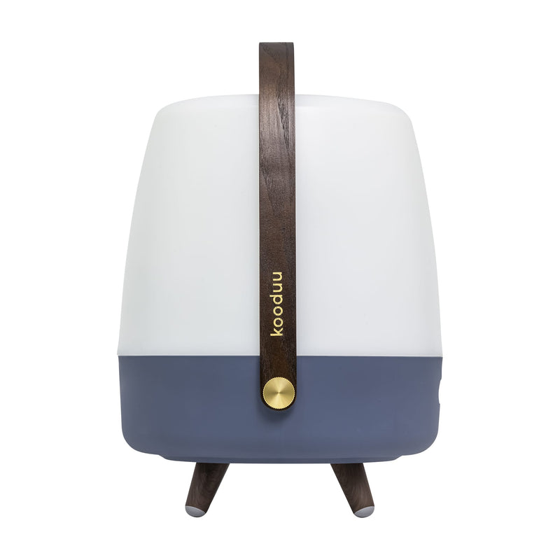 Lite-up Play: Bluetooth speaker lamp with JBL sound, cozy LED glow, and premium design featuring brass highlights and wooden handle.