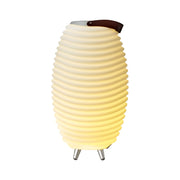 Kooduu Synergy: portable LED lamp with dimmable light, stereo sound, and a built-in cooler for drinks and wine bottles.