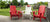 Muskoka chair head cushions - MY OUTDOOR ROOM