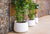 Newgarden LED Decorative Lighting