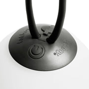 Bolleke la Surprise blends modern design and everyday practicality.