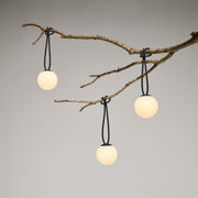 Bolleke la Surprise delivers iconic design in a compact, playful format.