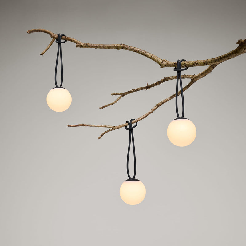 Bolleke la Surprise delivers iconic design in a compact, playful format.