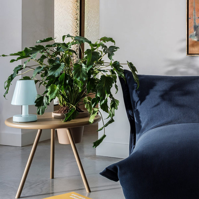 Edison the Ambiance brings atmosphere to bedside tables and cozy corners.