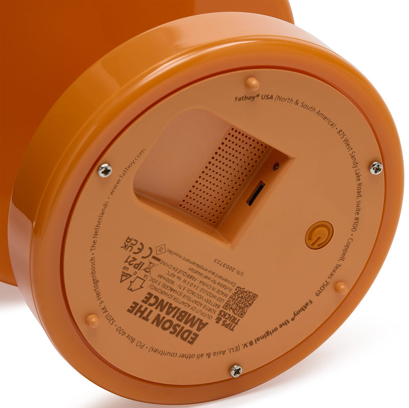 Close-up of the back of the Edison the Ambiance table lamp.