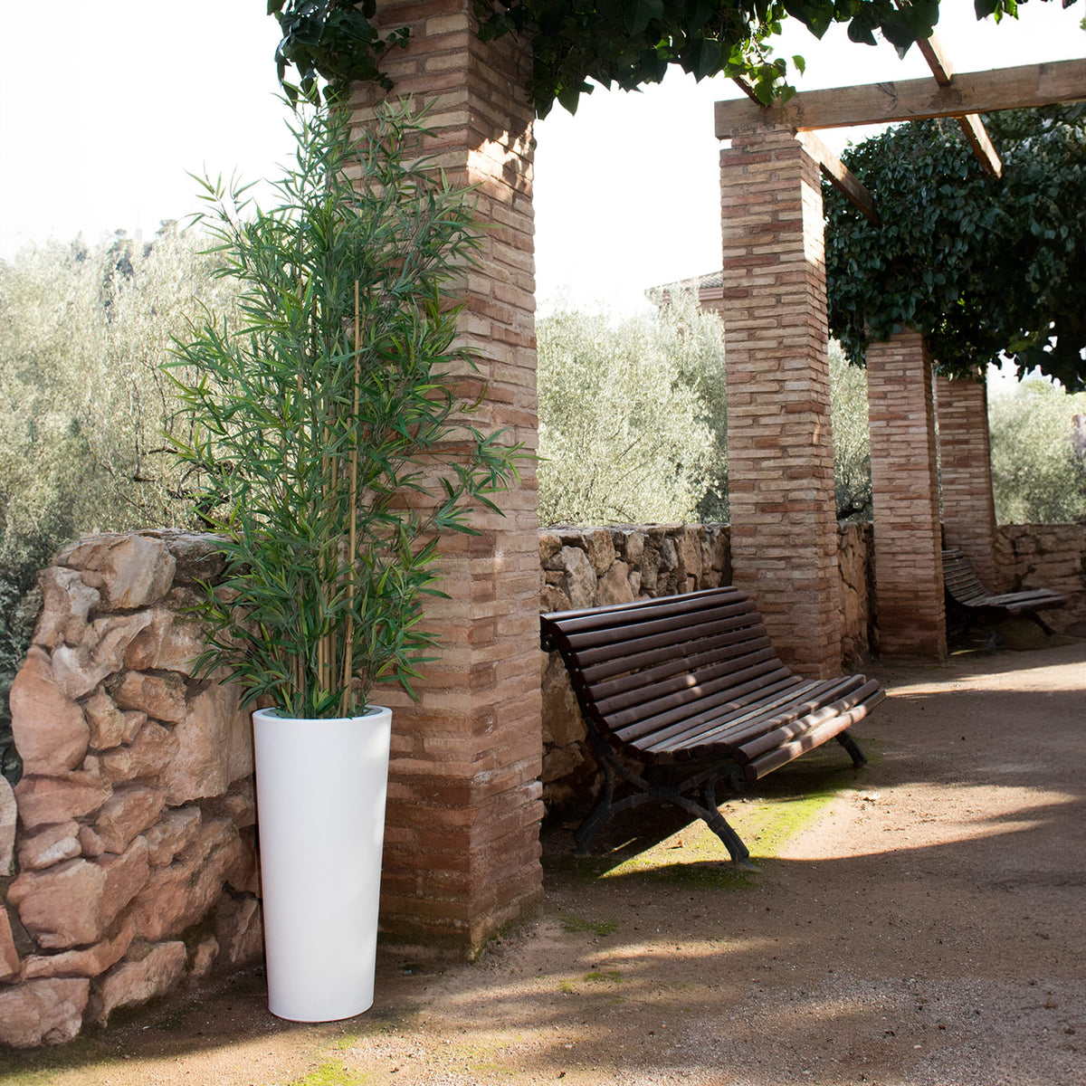 Ficus&lt;br&gt; Solar &amp; Rechargeable