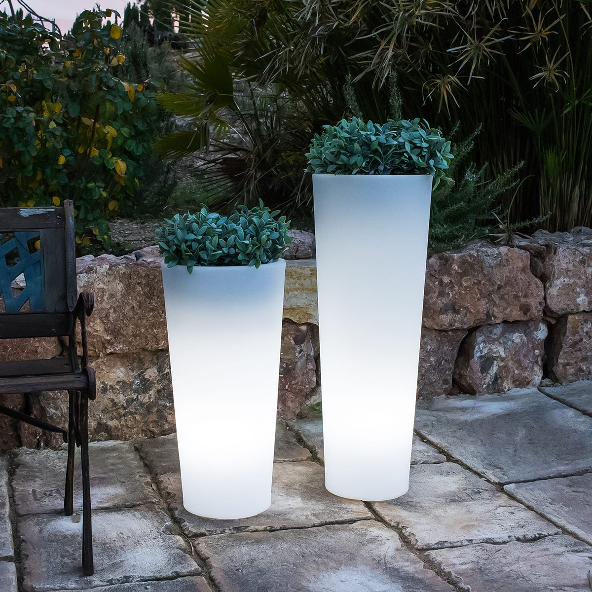 Ficus&lt;br&gt; Solar &amp; Rechargeable