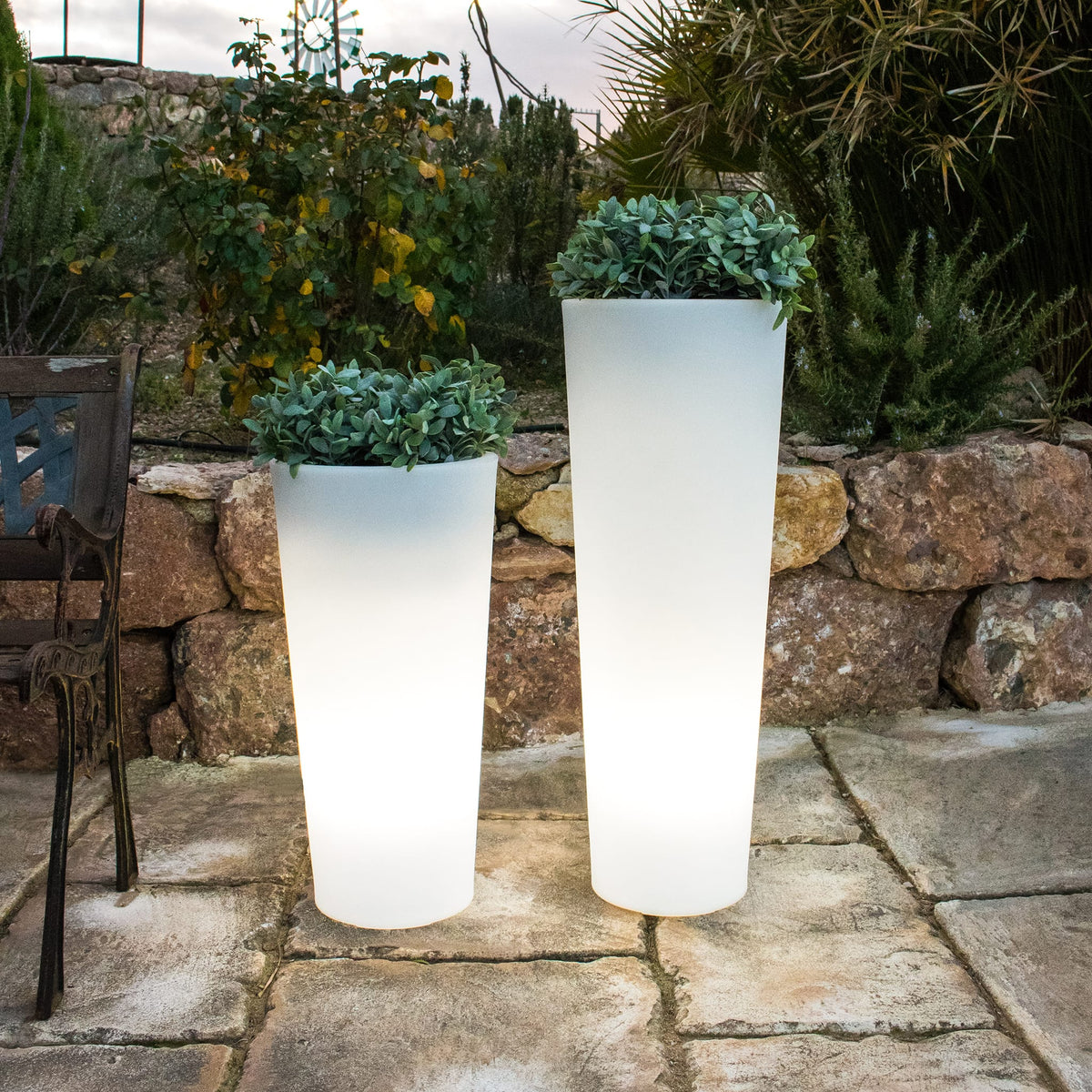 Ficus&lt;br&gt; Solar &amp; Rechargeable