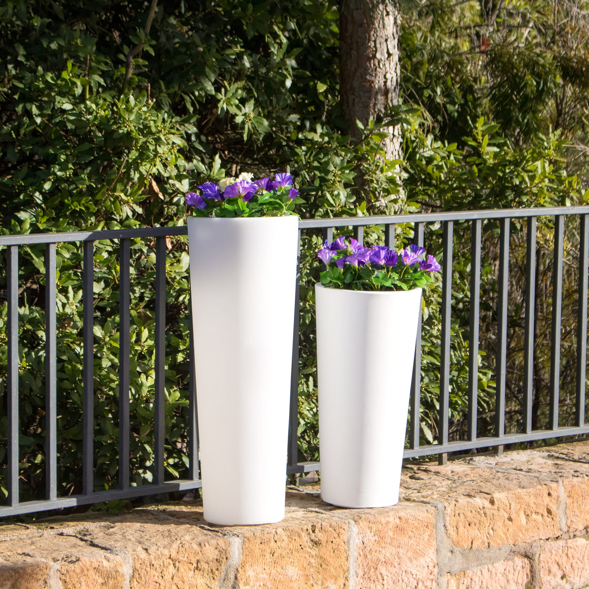 Ficus&lt;br&gt; Solar &amp; Rechargeable