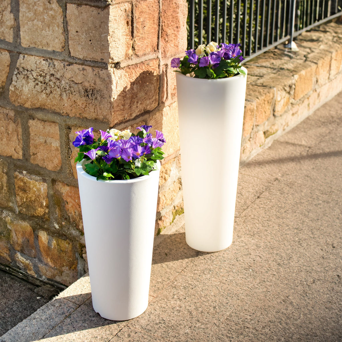 Ficus&lt;br&gt; Solar &amp; Rechargeable