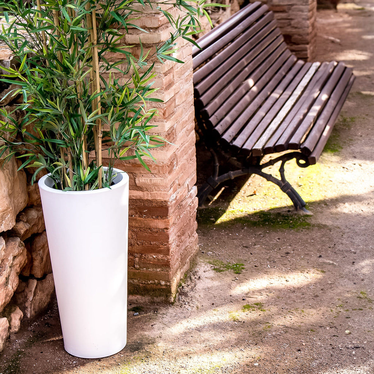 Ficus&lt;br&gt; Solar &amp; Rechargeable