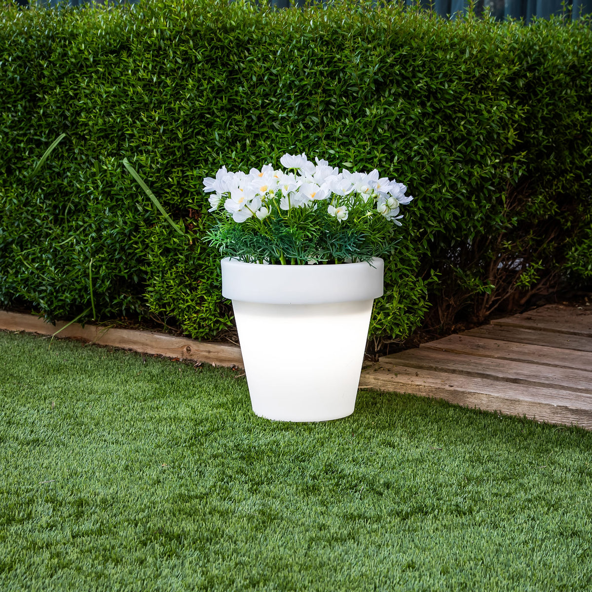 Magnolia&lt;br&gt; Solar &amp; Rechargeable