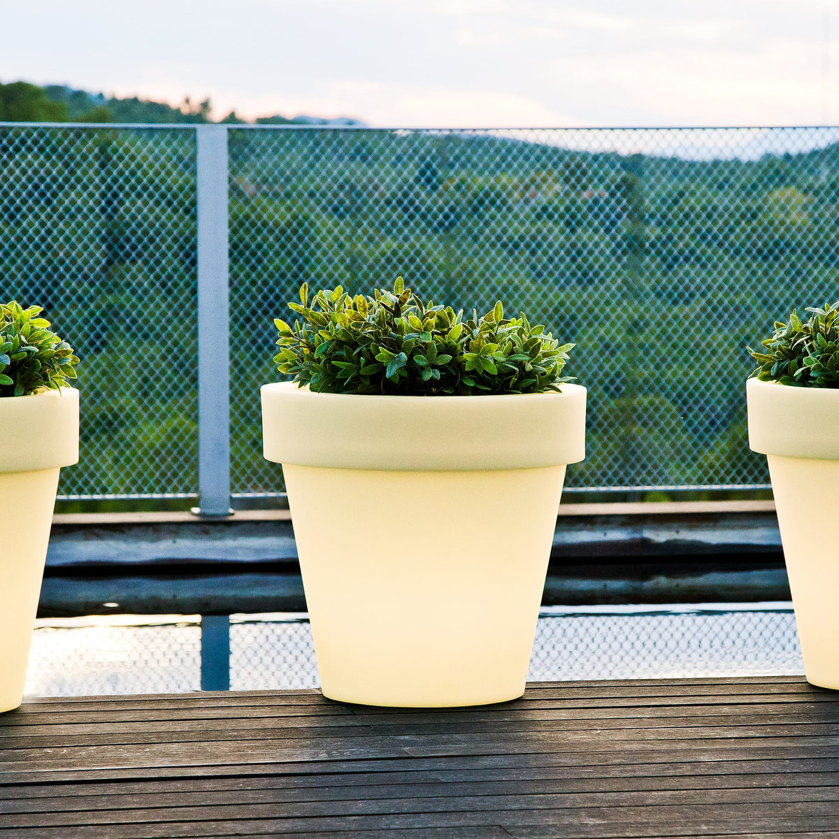 Magnolia&lt;br&gt; Solar &amp; Rechargeable