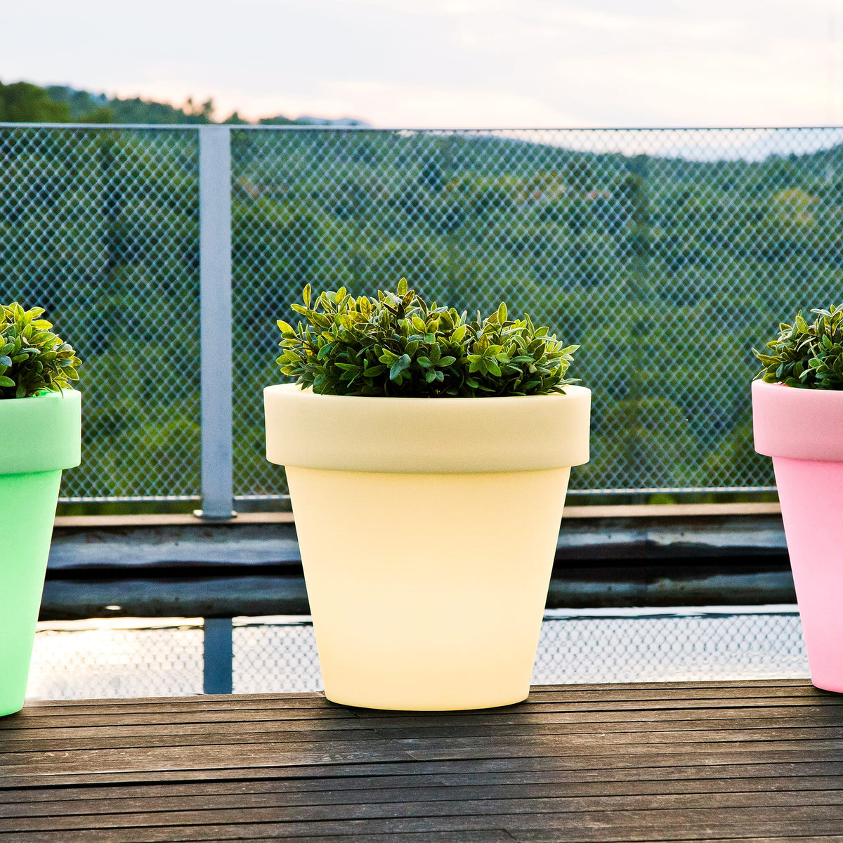 Magnolia&lt;br&gt; Solar &amp; Rechargeable
