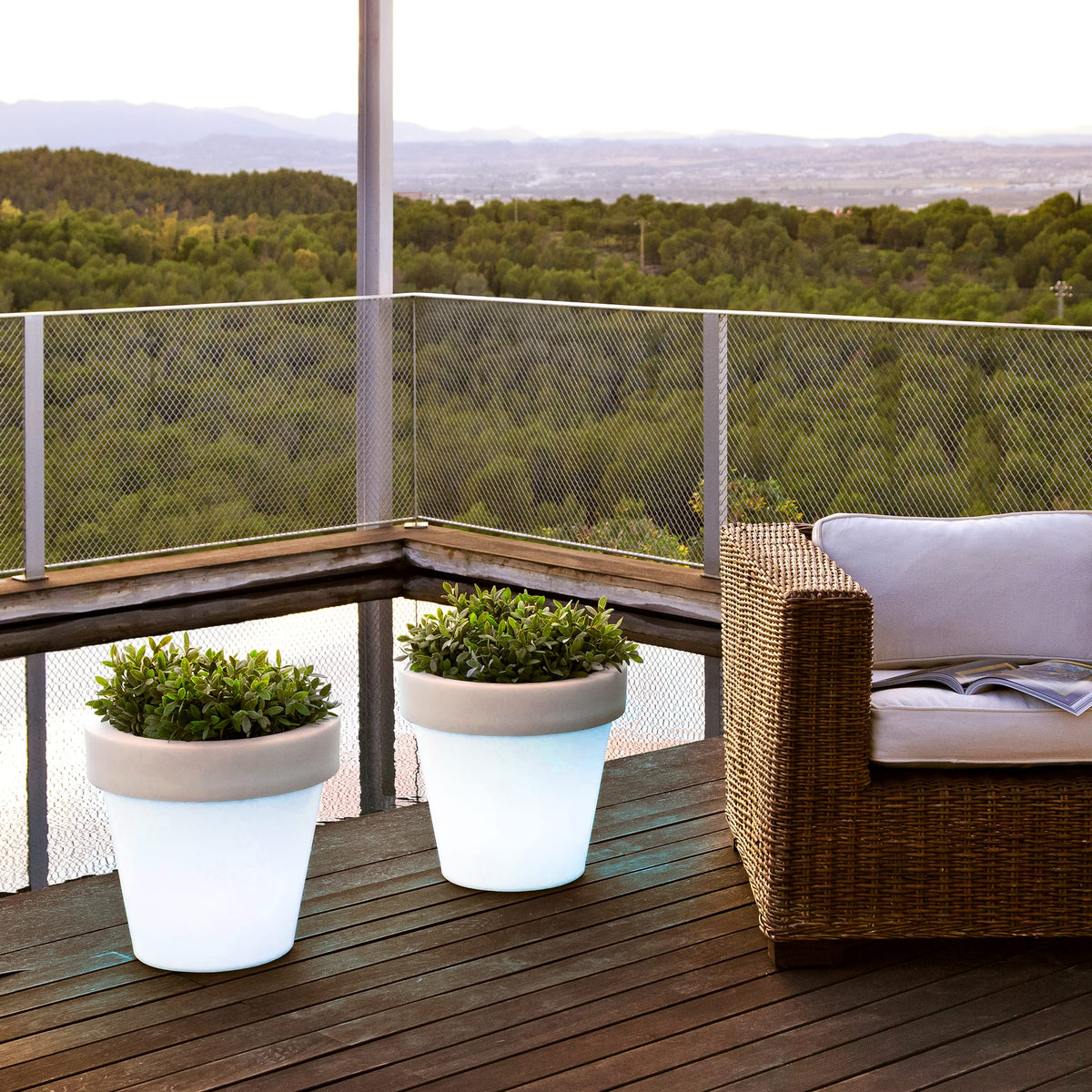 Magnolia&lt;br&gt; Solar &amp; Rechargeable
