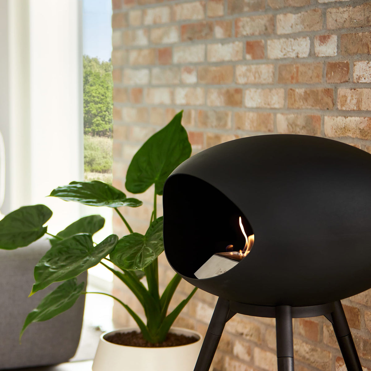 Le Feu Ground Low Dome &lt;br&gt;Black