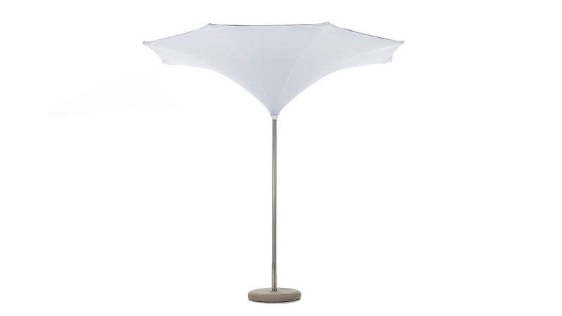 The Plant - 10' rounded canopy