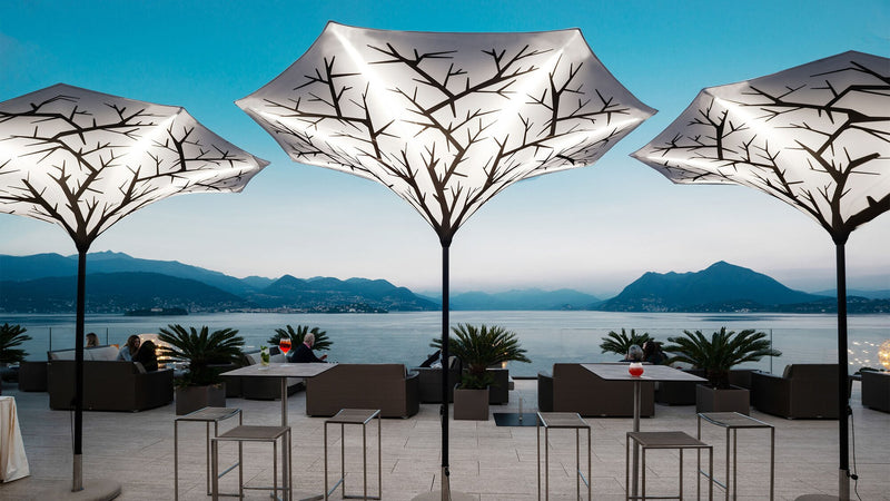 The Plant - 10' rounded canopy