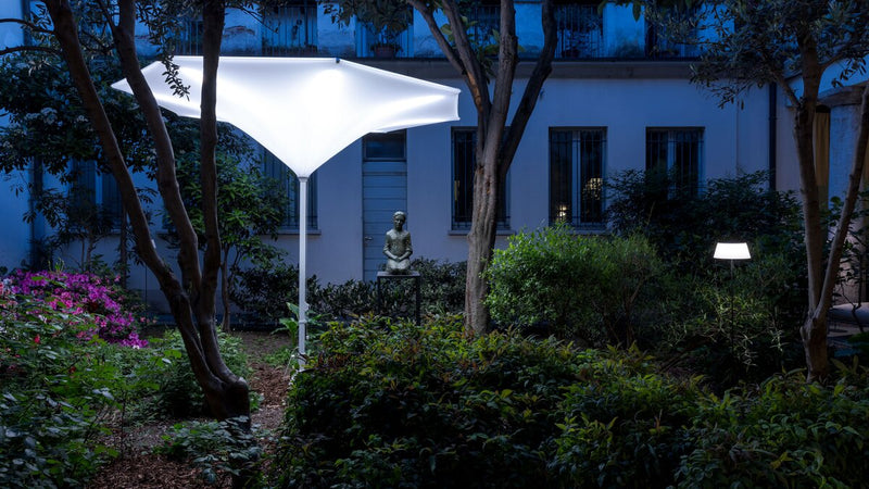 The Plant - 10' rounded canopy
