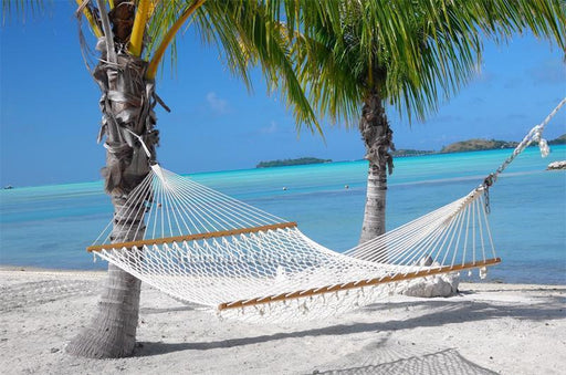 Cotton Rope Hammock - Double - MY OUTDOOR ROOM